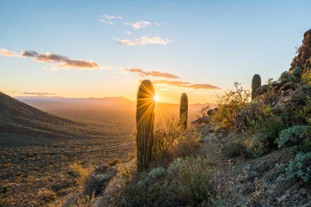 Tucson Arizona Date Spots