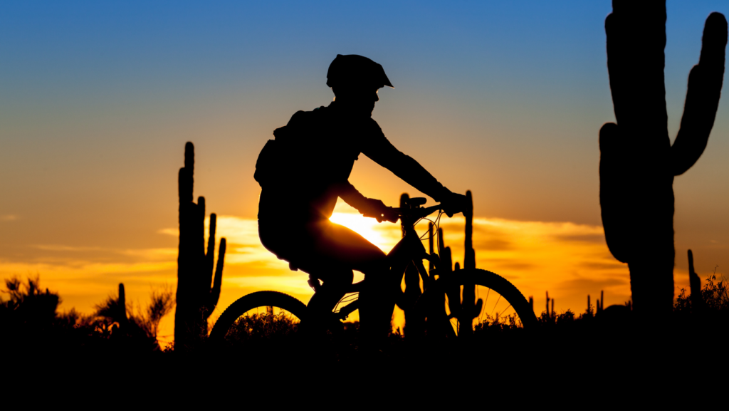 mountain biking tucson arizona