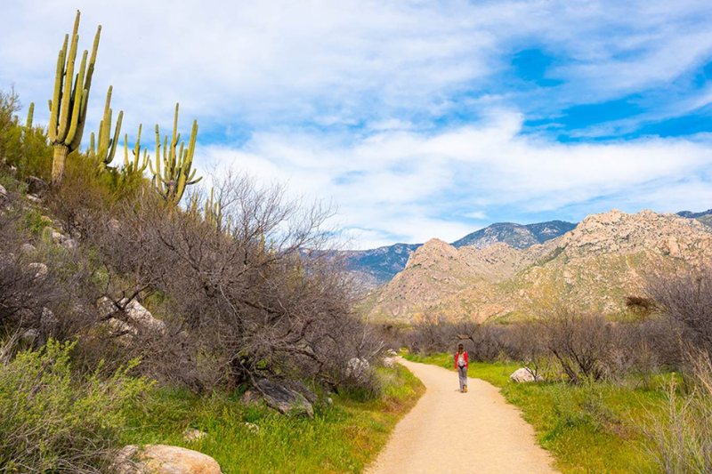 Fall activities for college students in tucson arizona - Hiking Outside in Catalina State Park, Tucson Arizona