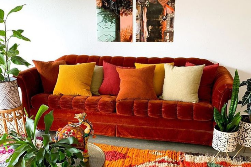 Living Room with Red Couch and House Plants with a shaggy rug and coffee table