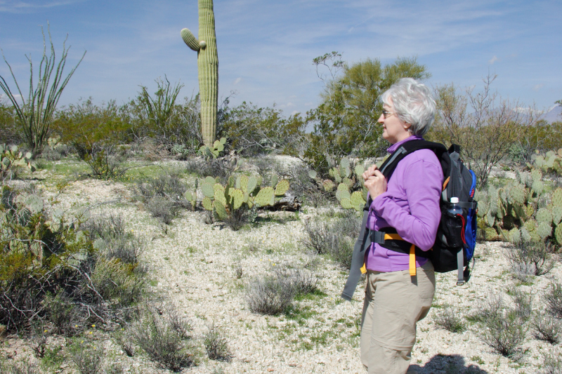 Elderly lady hiking in the Tucson desert near a cactus